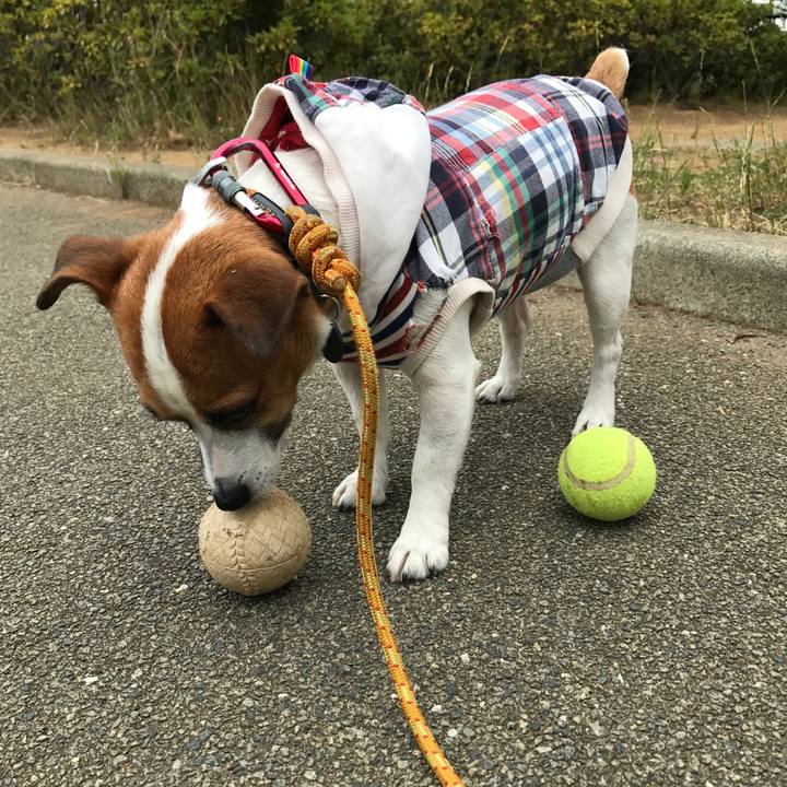 84f7ac70 f9f1 4b87 a3c5 2fb632adfcdc 1655205164129