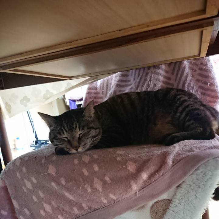 84f7b2ff c0e3 4522 b93c 04b8e96980ab 1648681088406