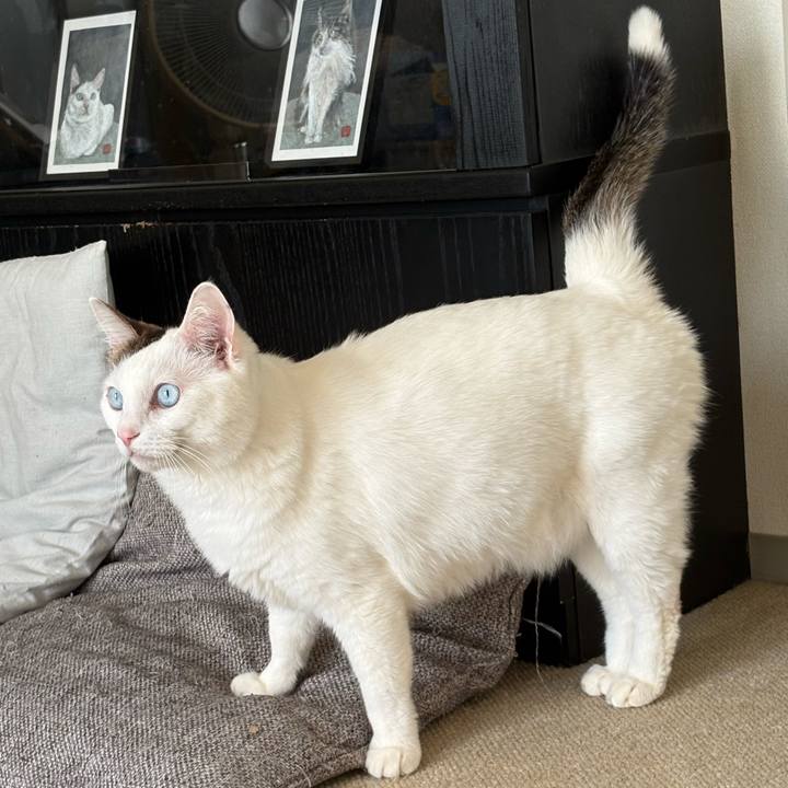 84f8112b e251 4a5a 89c7 f35c522560de 1769219017812