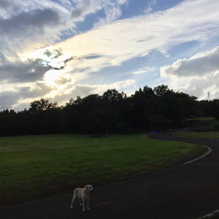 84f82334 aa5c 456d ae4c 2d270f54fdd5 1538467728963