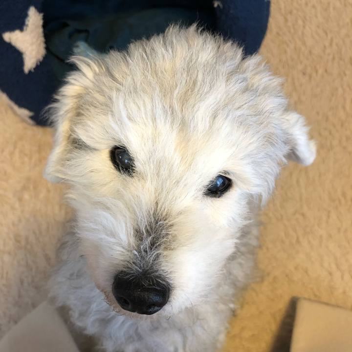 84f82b13 1118 4e6a 957c 563a57ac88d3 1642981344943