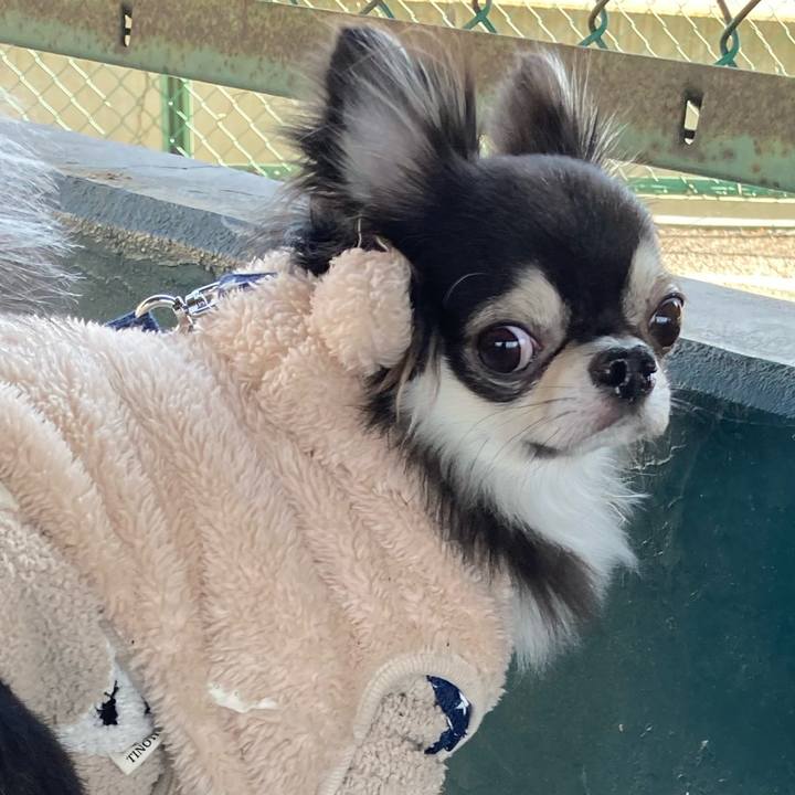 84f84118 d4e4 44e7 a3c5 51973e4eb7ff 1644576064243