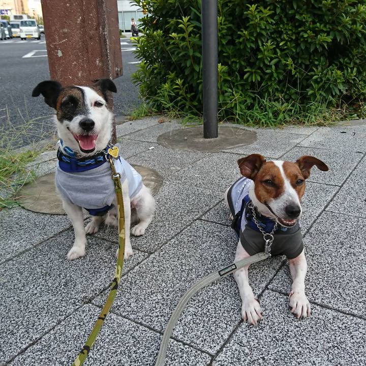 84f84625 4ce6 4030 a0df 63235aeb933d 1565474178311