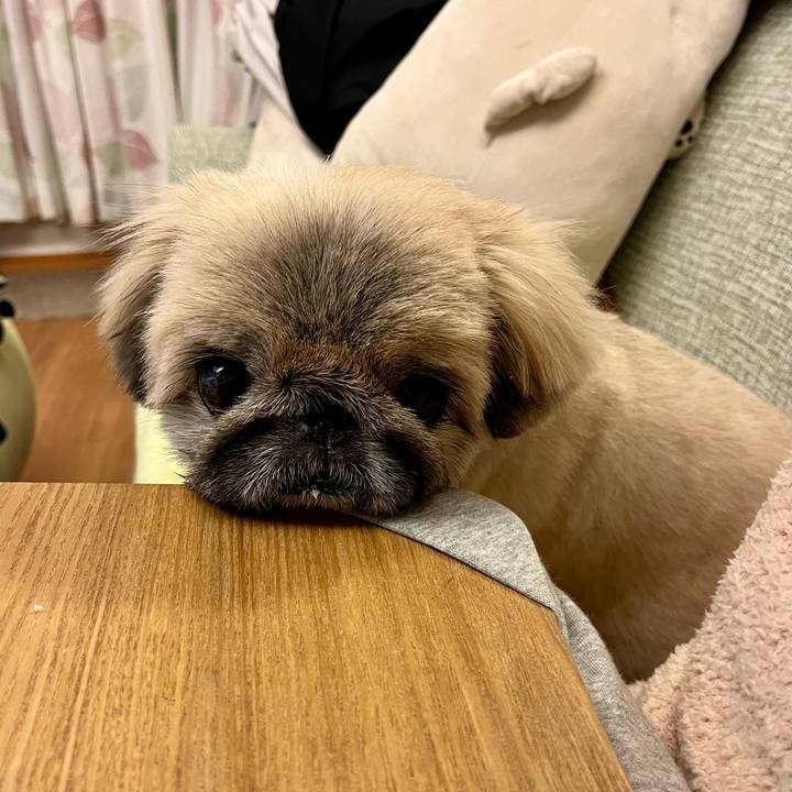 84f894d2 b4a2 4e35 92e7 a206532aa296 1733795513212