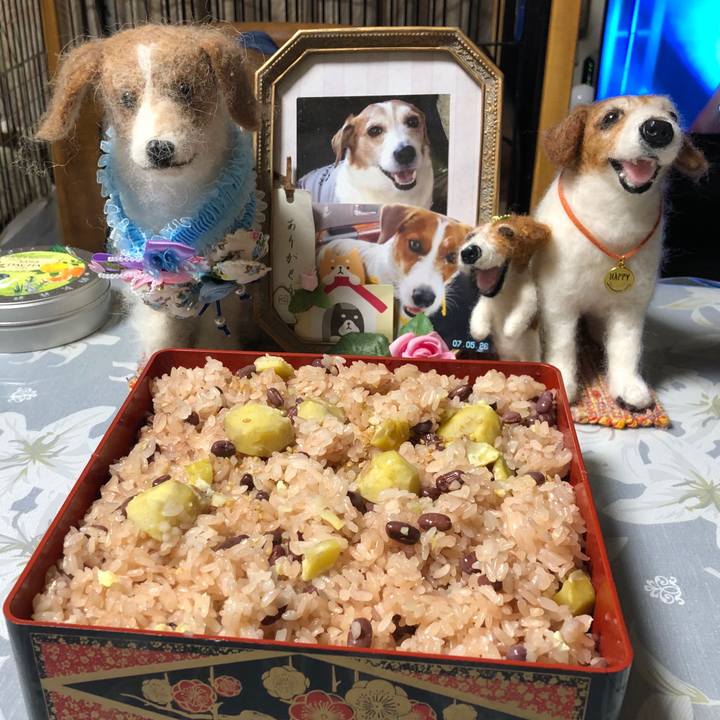 84f89c40 9b6b 4d11 8d19 77a63aacd57d 1569931657716