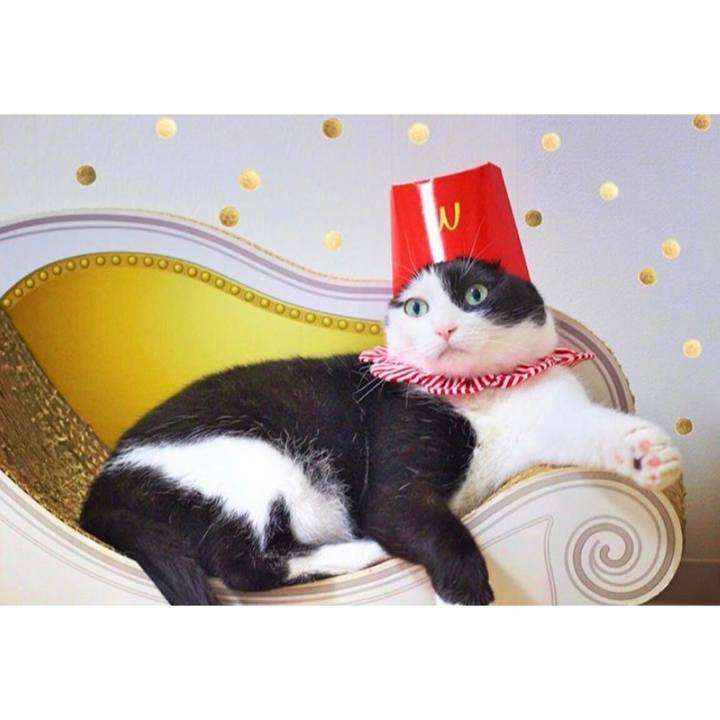 84f9161e 7740 4a35 b26a 2926b7cc2653 1556894163808