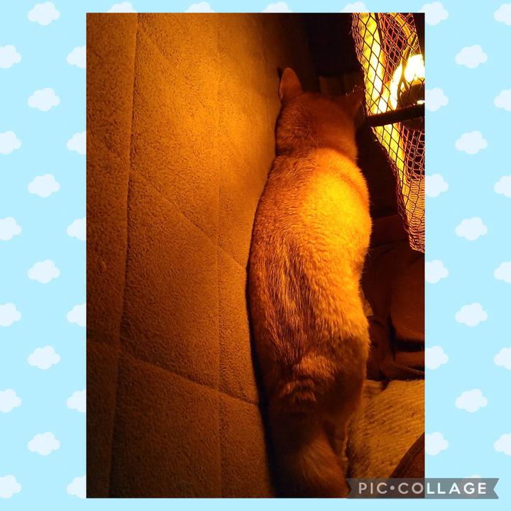 84f92a7a 31be 4e93 bb48 20baa323beca 1737949855540