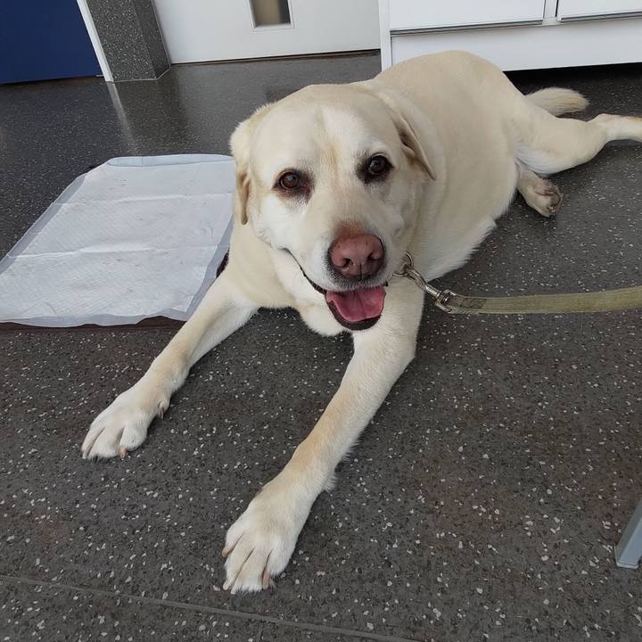 84f9611e fd97 4a6d bd29 5708006fde40 1716705216458