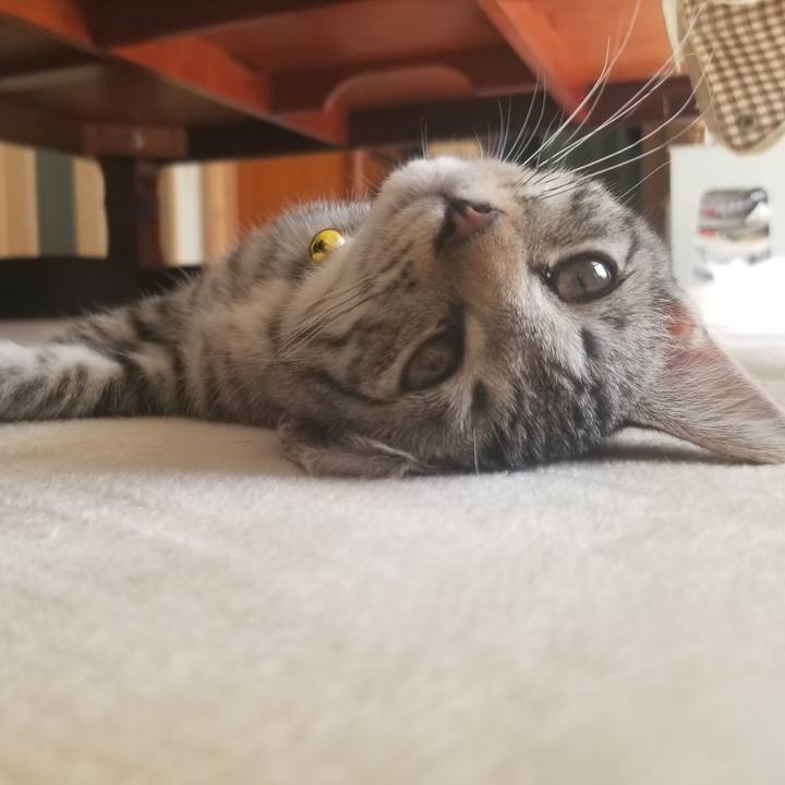 84f96ddd c85b 4f2a 811c fd8019b532b9 1665762948396