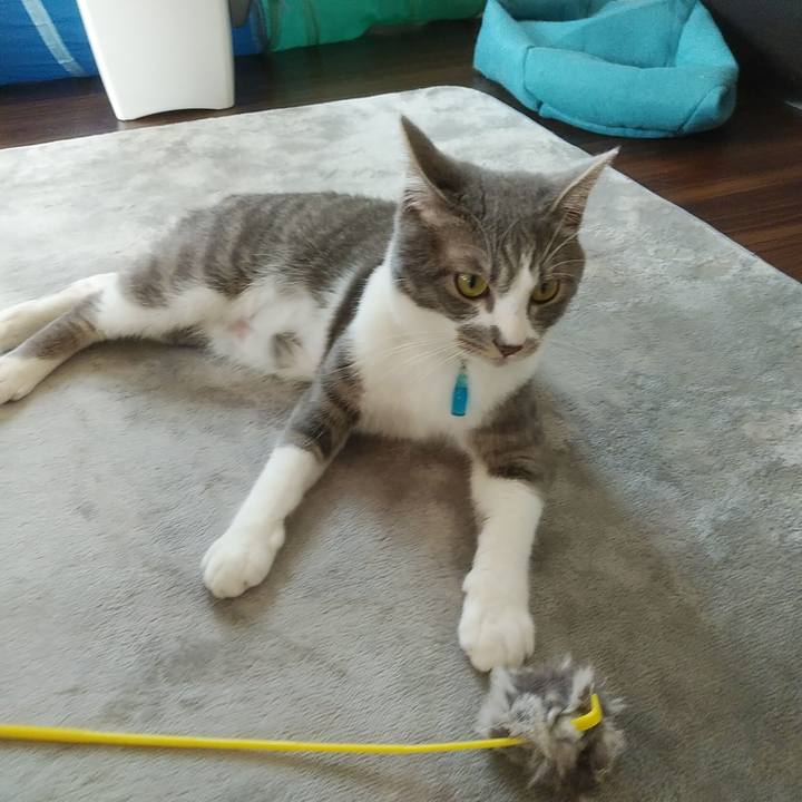 84f97916 86e9 42d9 a5c8 de0b36ccdd1b 1588375401624