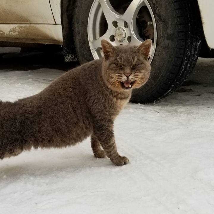 84f99fc6 50b5 4e6c 8386 428d327ae0bf 1547967714459