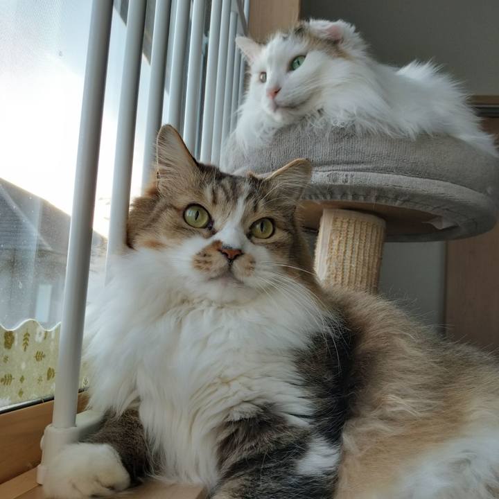 84f9bb14 2b53 4346 ab1e 73e93900bef0 1770287577772