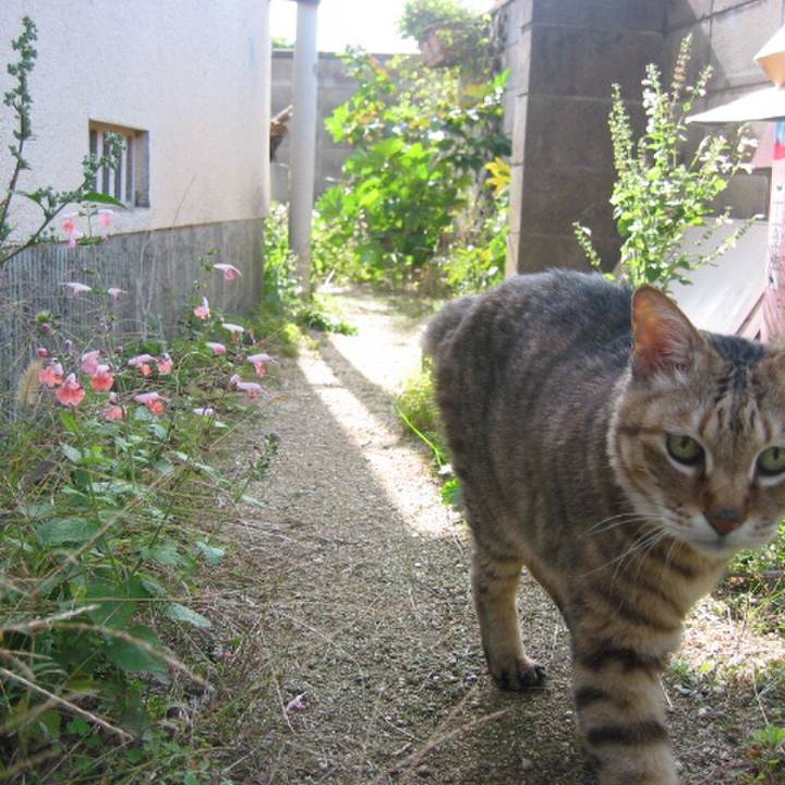 84fa03a0 2fd3 4381 aff8 0ac49959b3de 1523848963068