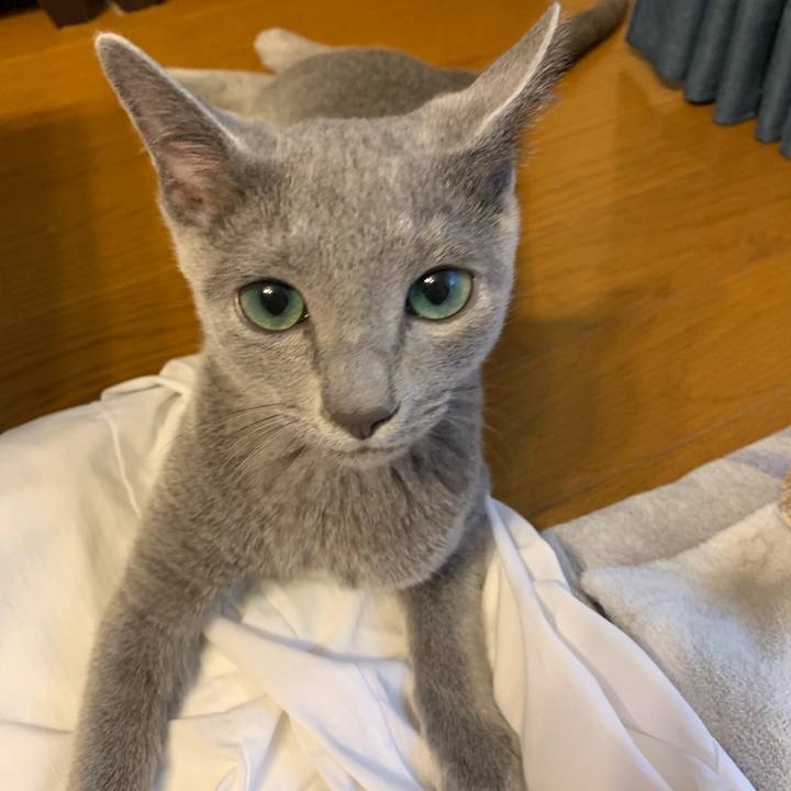 84fa25c6 971a 46c5 9621 2a1091d7d7e7 1574994818233