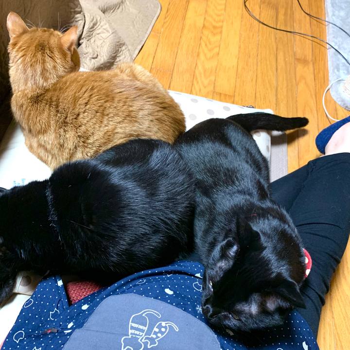 84fa4458 873e 4314 9ae5 2425ce6a891d 1586095052745