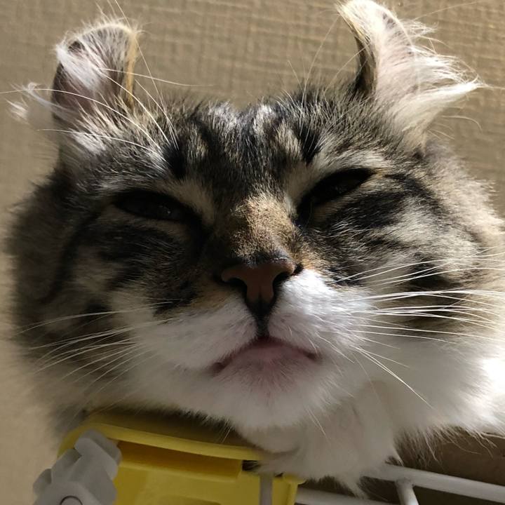 84fa47e2 bb8c 4bb0 8931 6f2a9b813b49 1521849743559