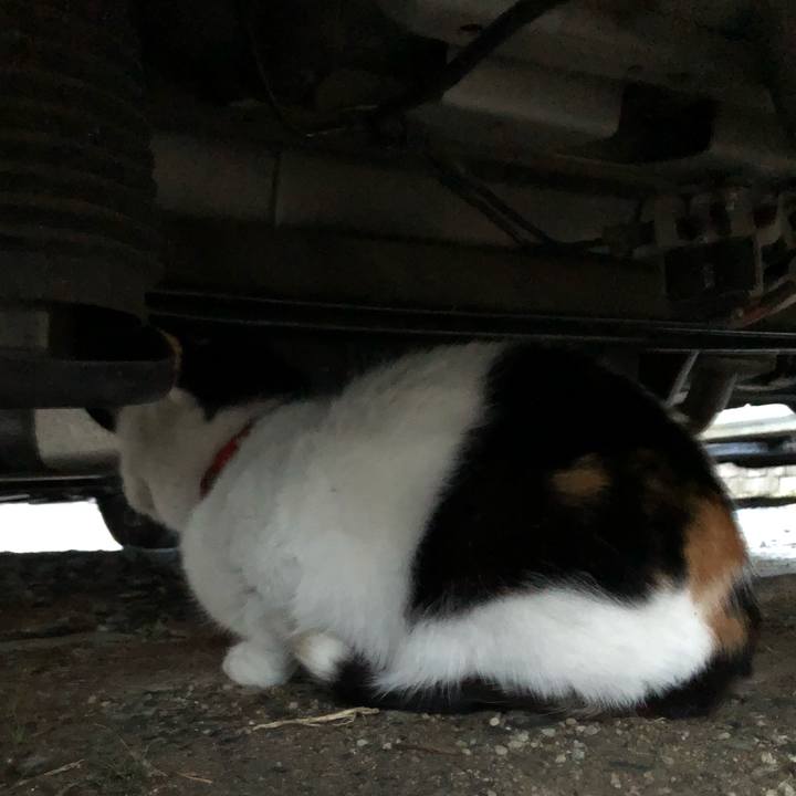 84fa6320 7662 40f9 886c dba9eb1c9837 1610319273290