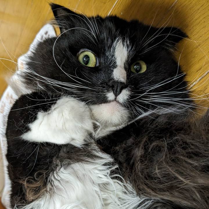 84fa80a4 3770 4179 9613 7d6de4ea4719 1708689336315