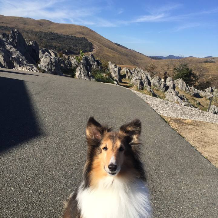 84fa9733 7ed1 4a76 9de2 1665970b3cb1 1597755352805