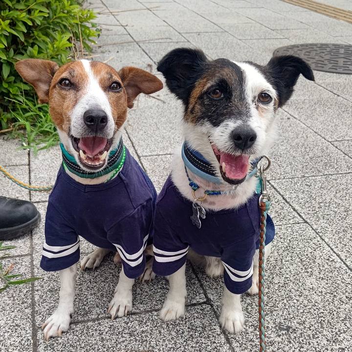 84faa4c3 624d 4200 8ef5 ef0217bb3b7a 1719357741528