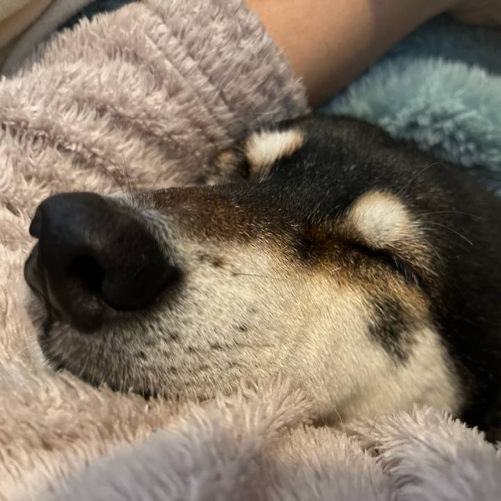 84faacb6 e677 4dff bbed cd3b8f4d6e67 1674184957208