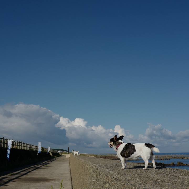 84facc04 d8c4 4648 9d95 69c7b3ffce0b 1566792853175