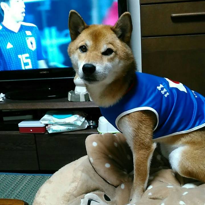 84faee3b 1c7f 4bba 9e52 c1eac887102d 1568122841856