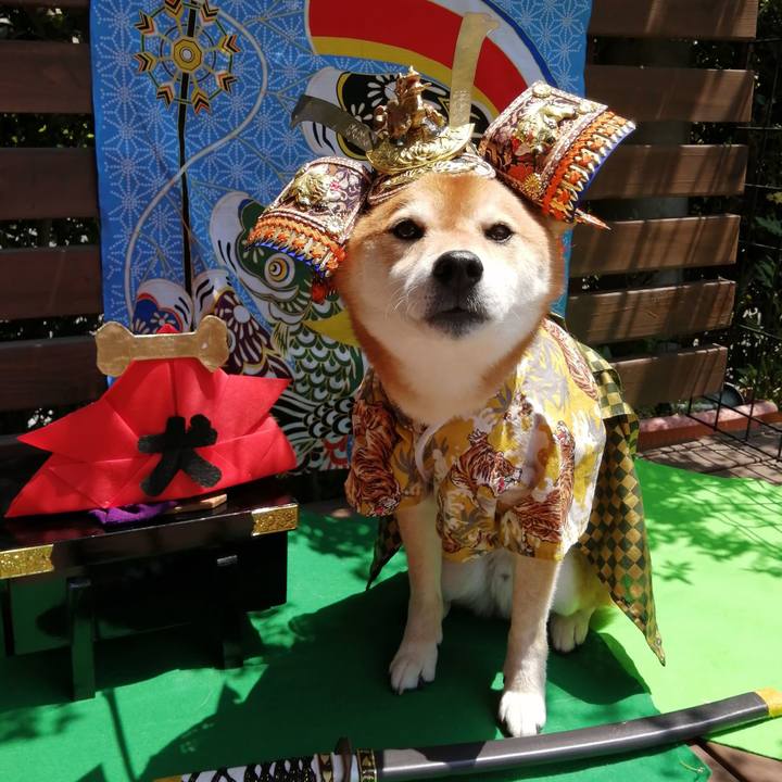 84faffa1 fc56 4779 9156 c1de2477592a 1651721483878