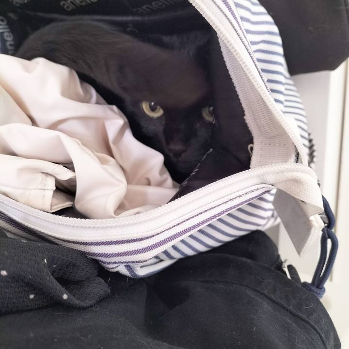 84fb3838 dda0 40c3 badf 9a944c3c1ec5 1682733620358