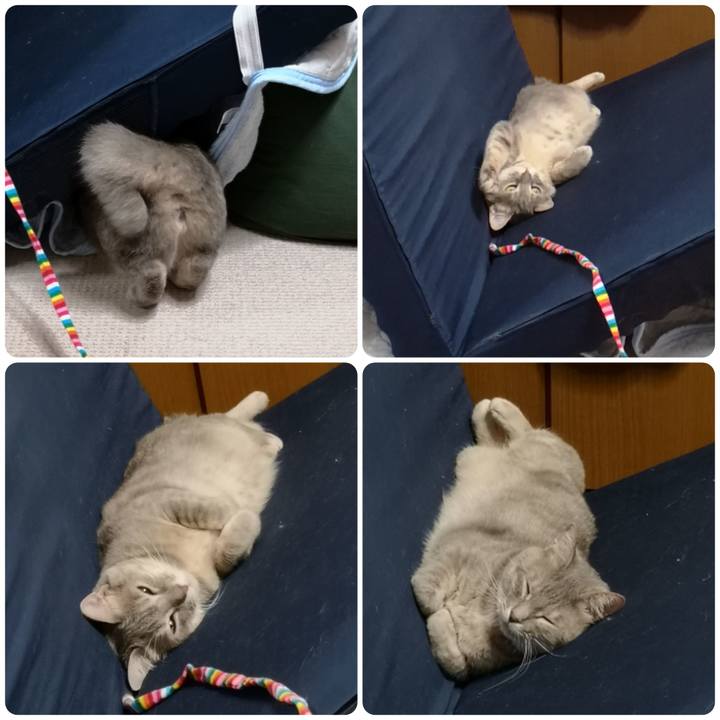 84fb4788 52f0 4141 a4df cab07d7c15ef 1556457517851