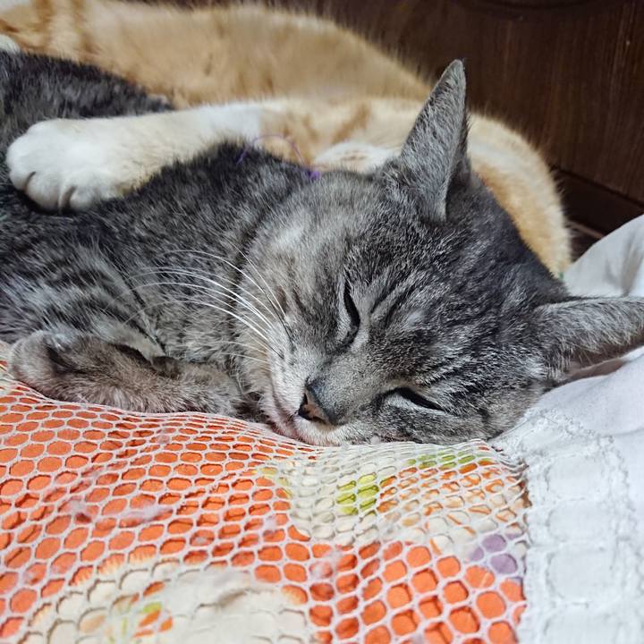 84fb59cd c91e 46e0 9c8e 02c403313273 1584190884292