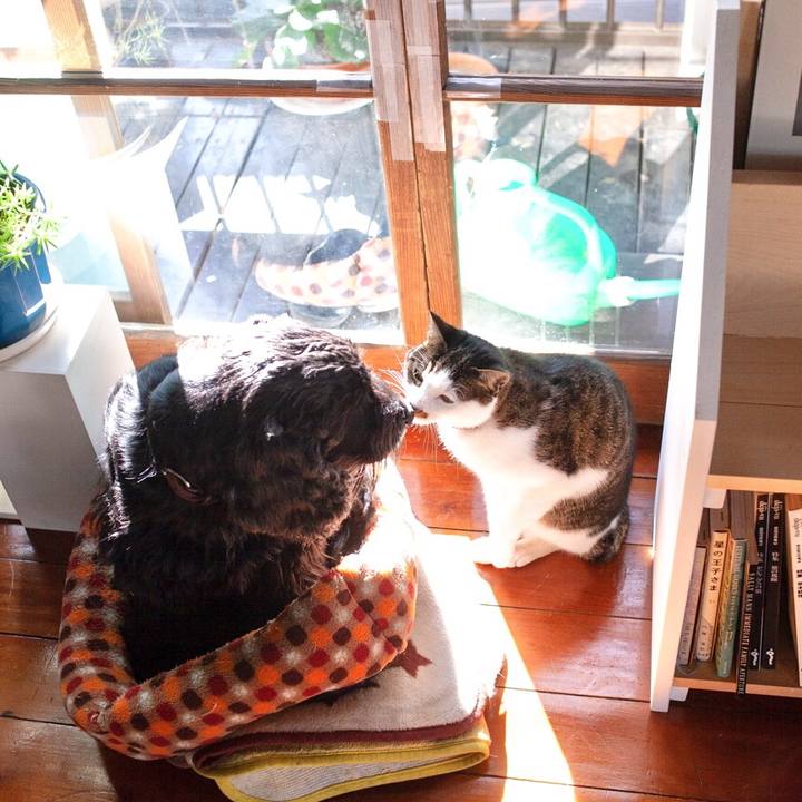 84fb5d8a 2d45 4478 8826 f53f97a40737 1547728241024