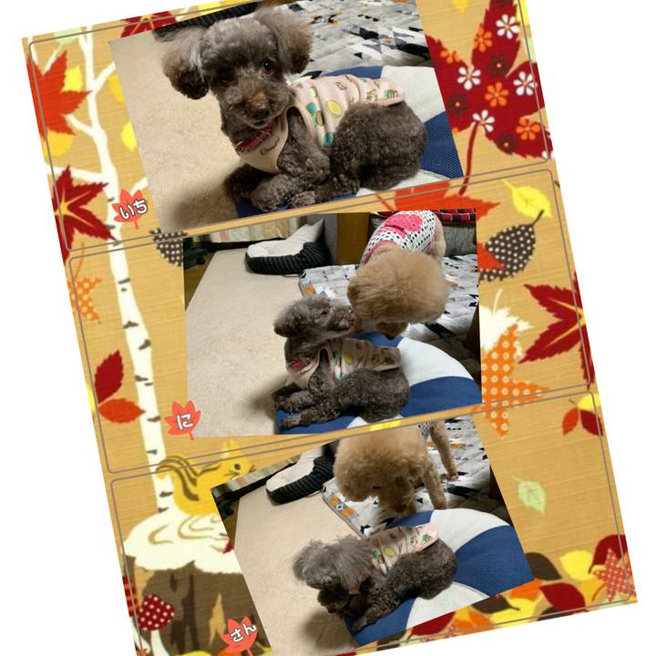 84fb6905 bb69 48ba b331 b51023014081 1606293275438