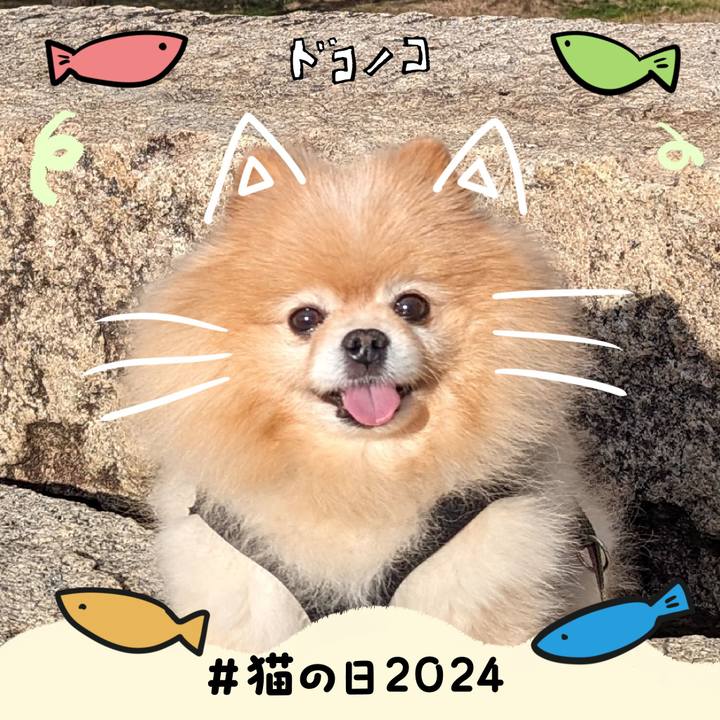 84fb97fa 3cad 4877 8e48 2ac822175bd2 1708608782747