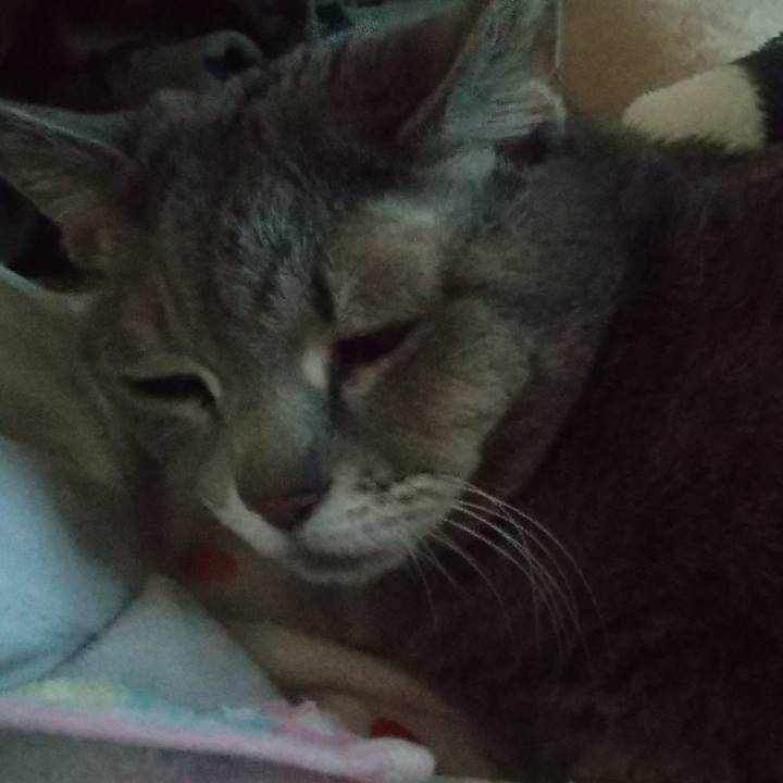 84fbda2b 08cf 4479 aee5 e21dfaa64467 1641975733452