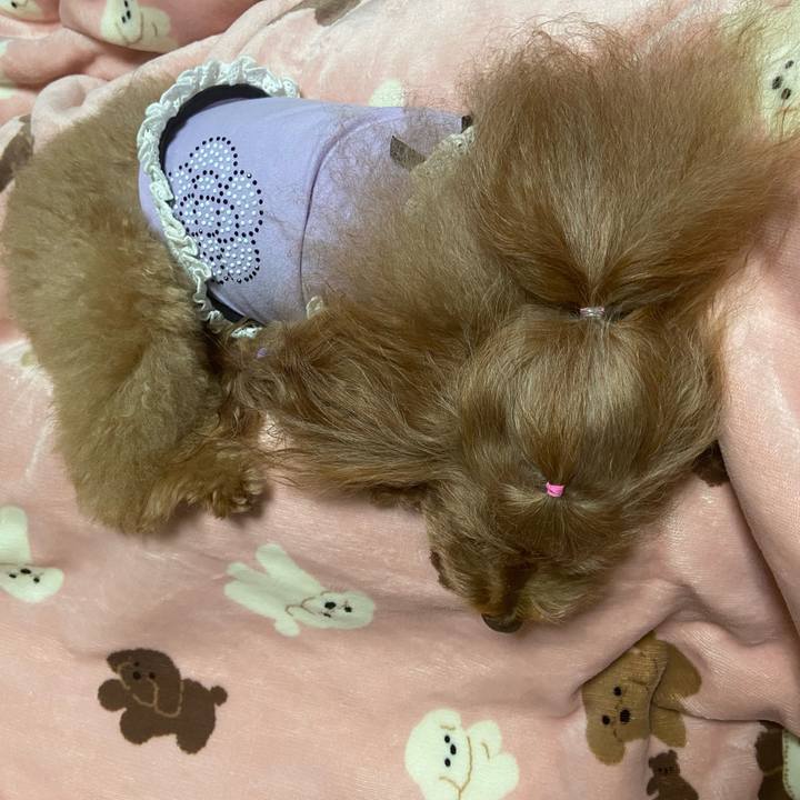 84fc10a6 4966 4df4 b6ae d2d50b5b76e5 1761479125355