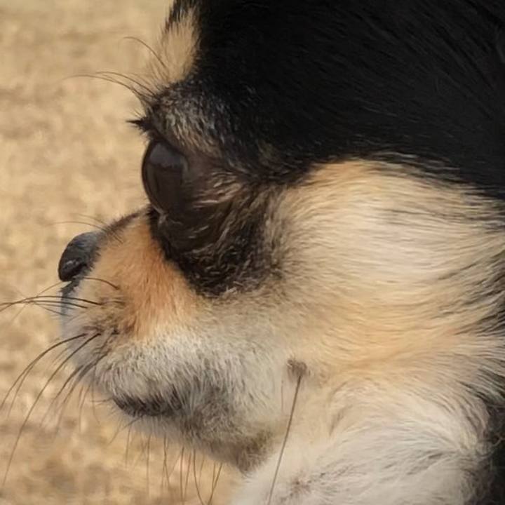 84fc2307 74ad 41e0 8bd6 7f9df5becc91 1580170537754