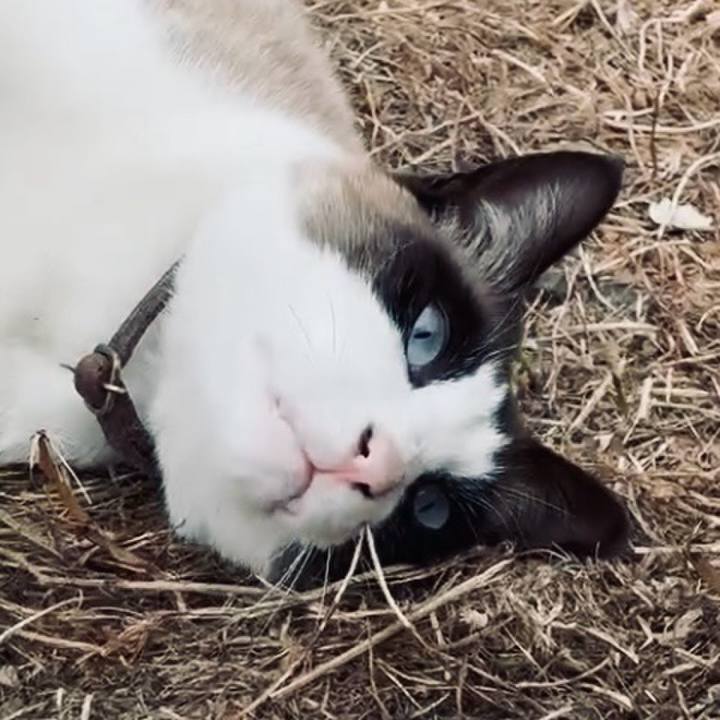 84fc2422 d07c 4985 b3c7 7f58bfad4f0c 1744787586276