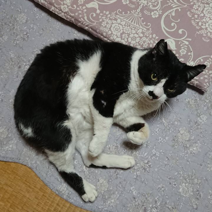 84fc2904 82ec 4b92 9538 92d402b0d1fc 1579231901174