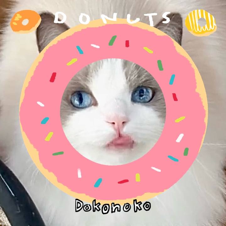 84fc3e38 9d5a 4bd0 bc48 4ae696dc330d 1744354393427