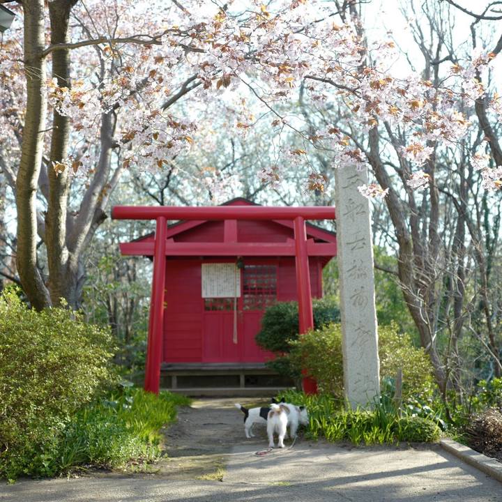 84fc5e23 c465 4a3a baea 8dd3566e0da3 1555562298226