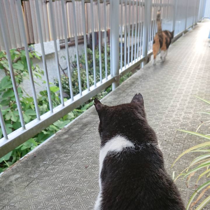 84fc5eb5 8eac 4b6a 8223 c3a5b91fb0d3 1600141591414