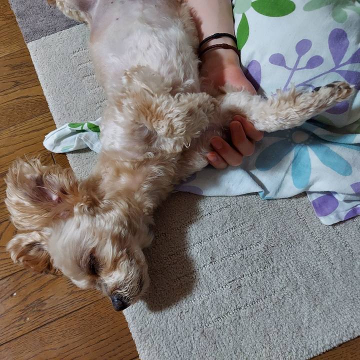 84fc6e50 7cfc 4119 82ad dc68569dee68 1623122894476