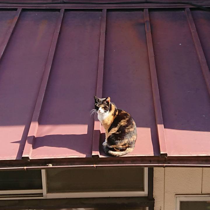 84fc6e82 ab3c 4f1b 8cef 84d01687db44 1554247205033