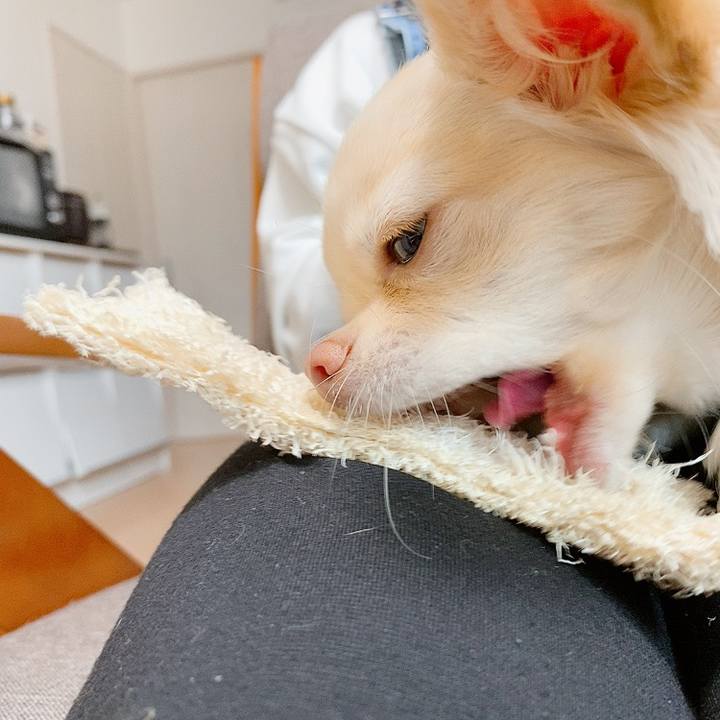 84fc83cc 75ba 4912 a9db 4b97beffd3eb 1610441755650