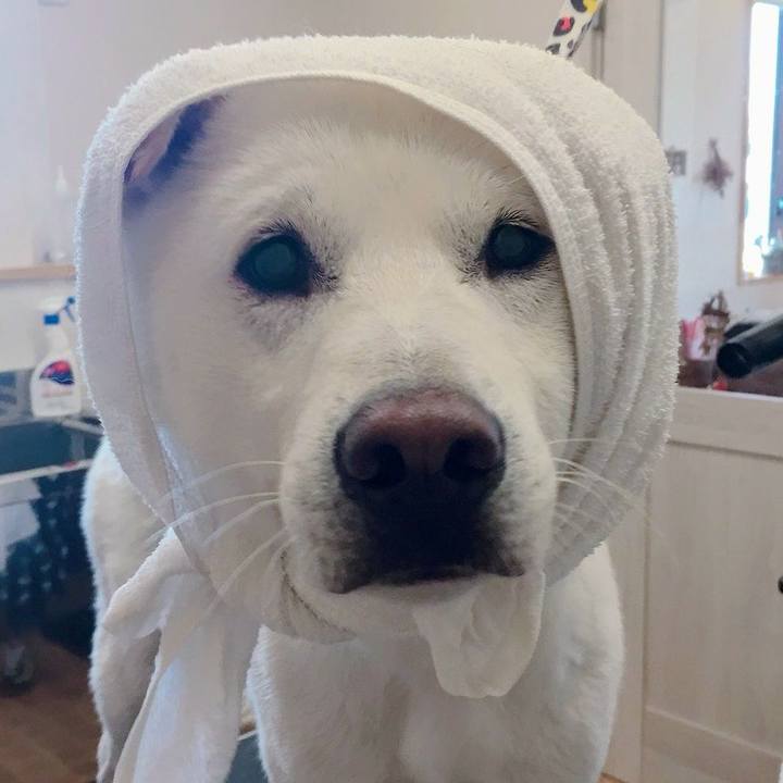 84fc96d8 da79 49a4 80eb 78a4c817da4b 1526469901633