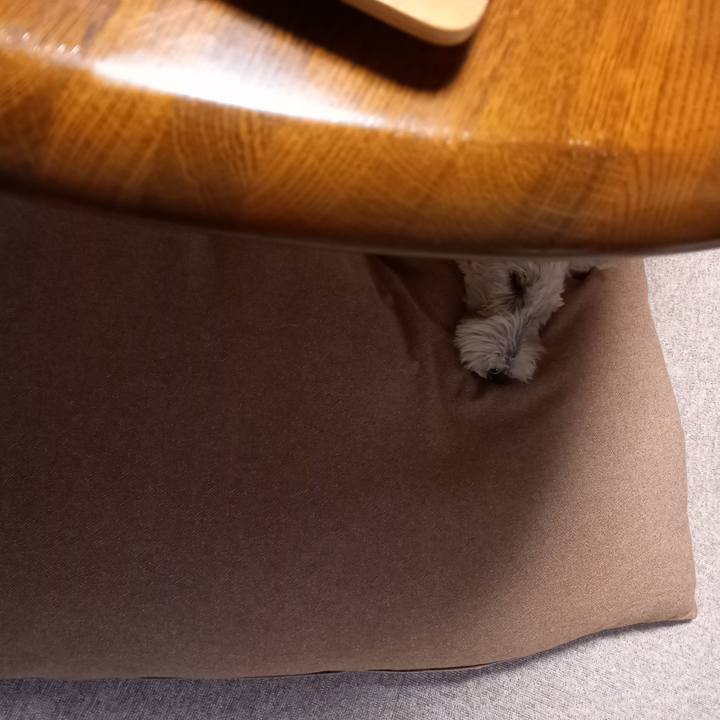 84fcc92e ef76 4c15 972f cbfa339fa400 1636498572547