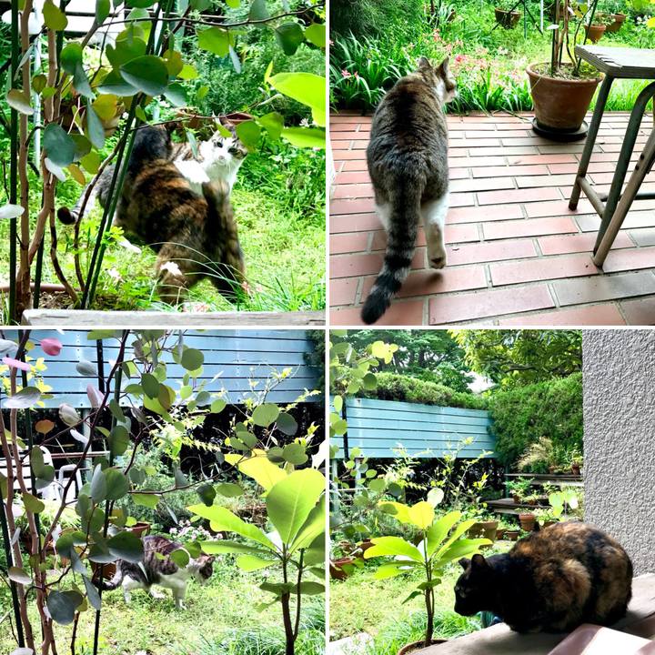 84fd24b1 989b 4b92 b5c0 ea2a5f48a0d9 1526626997583