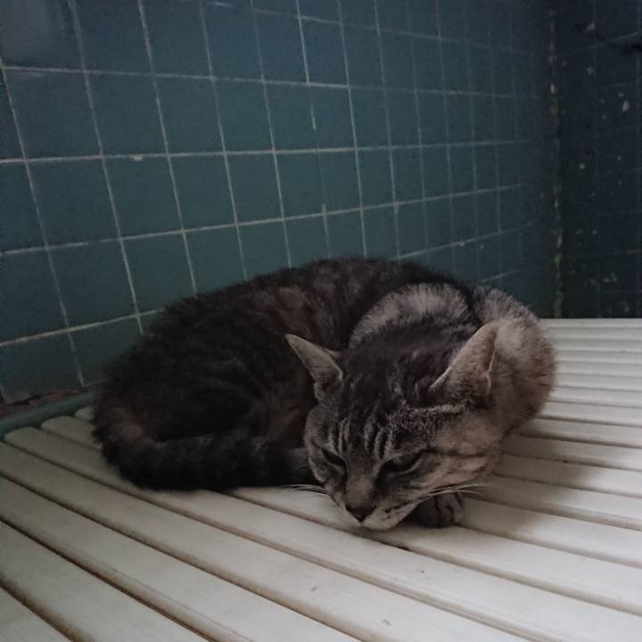 84fd3ae7 8075 4128 a287 d1a80601e307 1571345921654