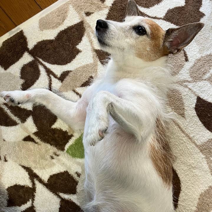 84fd3b75 f0df 495f 8558 8fb53ee53970 1726273623812